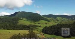 Fazenda de Criação de Gado de Corte com 320 hectares | Palma – MG Fazenda de Criação de Gado de Corte com 320 hectares | Palma – MG