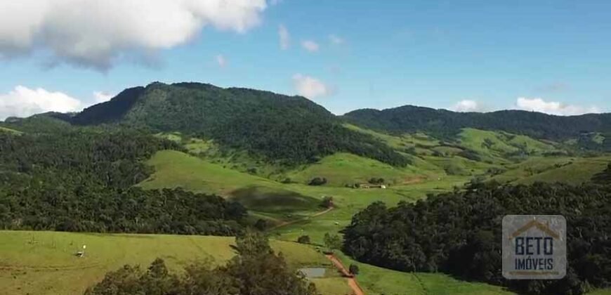 Fazenda de Criação de Gado de Corte com 320 hectares | Palma – MG Fazenda de Criação de Gado de Corte com 320 hectares | Palma – MG