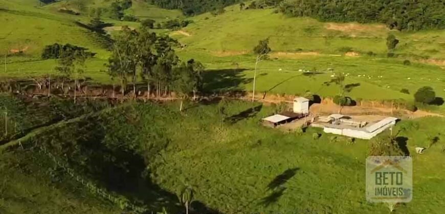 Fazenda de Criação de Gado de Corte com 320 hectares | Palma – MG Fazenda de Criação de Gado de Corte com 320 hectares | Palma – MG