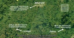 Fazenda de Criação de Gado de Corte com 320 hectares | Palma – MG Fazenda de Criação de Gado de Corte com 320 hectares | Palma – MG