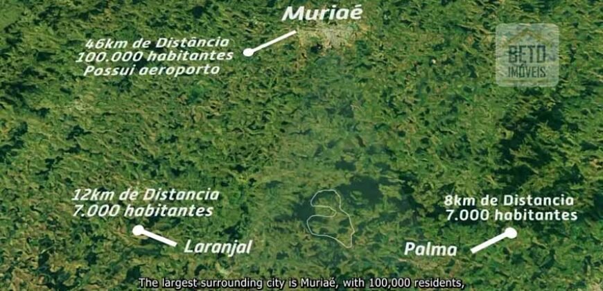Fazenda de Criação de Gado de Corte com 320 hectares | Palma – MG Fazenda de Criação de Gado de Corte com 320 hectares | Palma – MG
