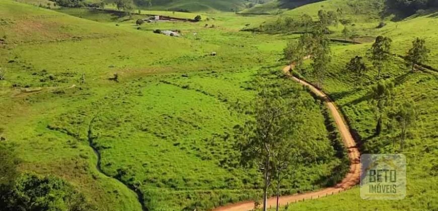 Fazenda de Criação de Gado de Corte com 320 hectares | Palma – MG Fazenda de Criação de Gado de Corte com 320 hectares | Palma – MG