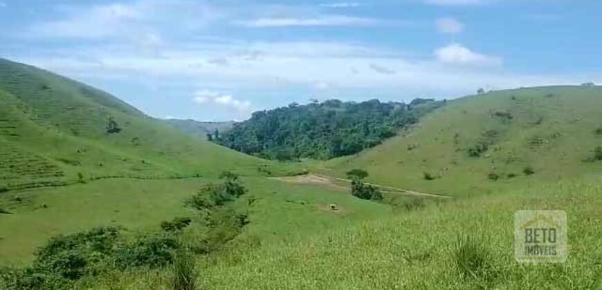 Fazenda 38 alqueires ou 184 hectares para Pecuária | Rio das Flores/RJ