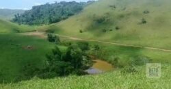 Fazenda 38 alqueires ou 184 hectares para Pecuária | Rio das Flores/RJ