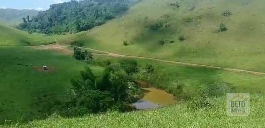 Fazenda 38 alqueires ou 184 hectares para Pecuária | Rio das Flores/RJ