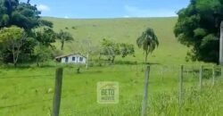 Fazenda 38 alqueires ou 184 hectares para Pecuária | Rio das Flores/RJ