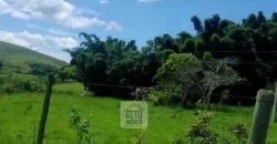 Fazenda 38 alqueires ou 184 hectares para Pecuária | Rio das Flores/RJ