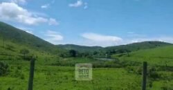 Fazenda 38 alqueires ou 184 hectares para Pecuária | Rio das Flores/RJ