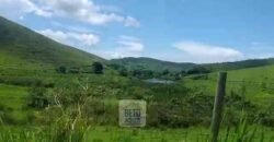 Fazenda 38 alqueires ou 184 hectares para Pecuária | Rio das Flores/RJ