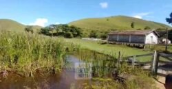 Fazenda 38 alqueires ou 184 hectares para Pecuária | Rio das Flores/RJ