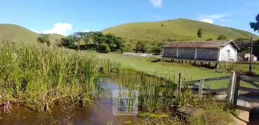 Fazenda 38 alqueires ou 184 hectares para Pecuária | Rio das Flores/RJ