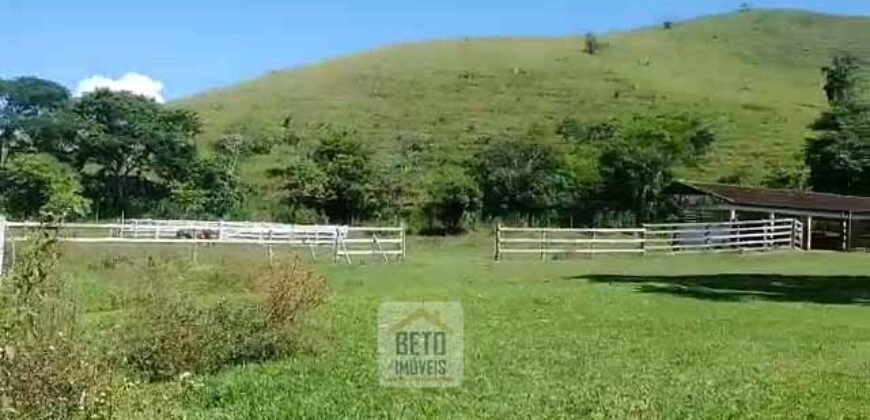 Fazenda 38 alqueires ou 184 hectares para Pecuária | Rio das Flores/RJ