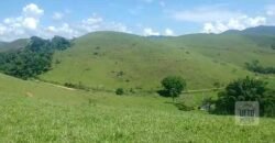 Fazenda 38 alqueires ou 184 hectares para Pecuária | Rio das Flores/RJ