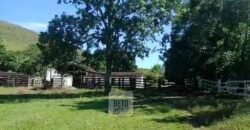 Fazenda 38 alqueires ou 184 hectares para Pecuária | Rio das Flores/RJ
