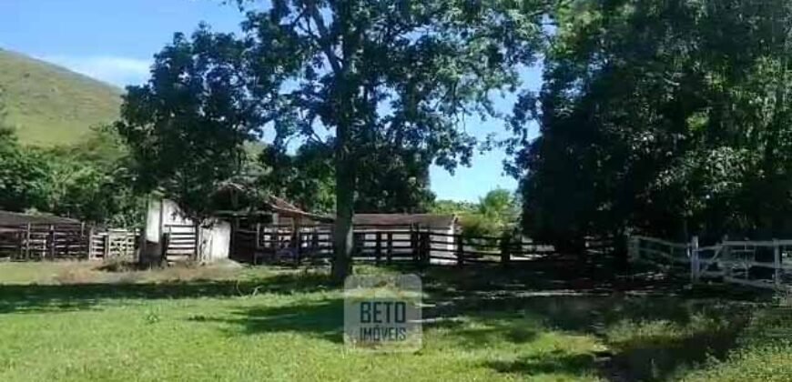 Fazenda 38 alqueires ou 184 hectares para Pecuária | Rio das Flores/RJ