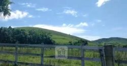 Fazenda 38 alqueires ou 184 hectares para Pecuária | Rio das Flores/RJ