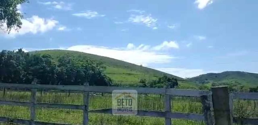 Fazenda 38 alqueires ou 184 hectares para Pecuária | Rio das Flores/RJ
