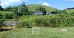 Fazenda 38 alqueires ou 184 hectares para Pecuária | Rio das Flores/RJ