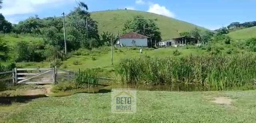 Fazenda 38 alqueires ou 184 hectares para Pecuária | Rio das Flores/RJ