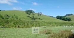 Fazenda 38 alqueires ou 184 hectares para Pecuária | Rio das Flores/RJ