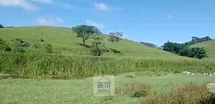 Fazenda 38 alqueires ou 184 hectares para Pecuária | Rio das Flores/RJ