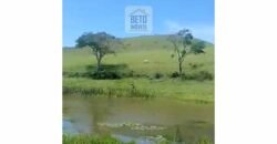 Fazenda 38 alqueires ou 184 hectares para Pecuária | Rio das Flores/RJ