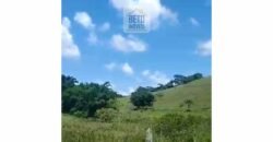 Fazenda 38 alqueires ou 184 hectares para Pecuária | Rio das Flores/RJ