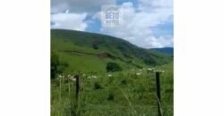 Fazenda 38 alqueires ou 184 hectares para Pecuária | Rio das Flores/RJ