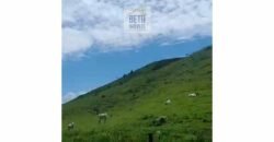 Fazenda 38 alqueires ou 184 hectares para Pecuária | Rio das Flores/RJ