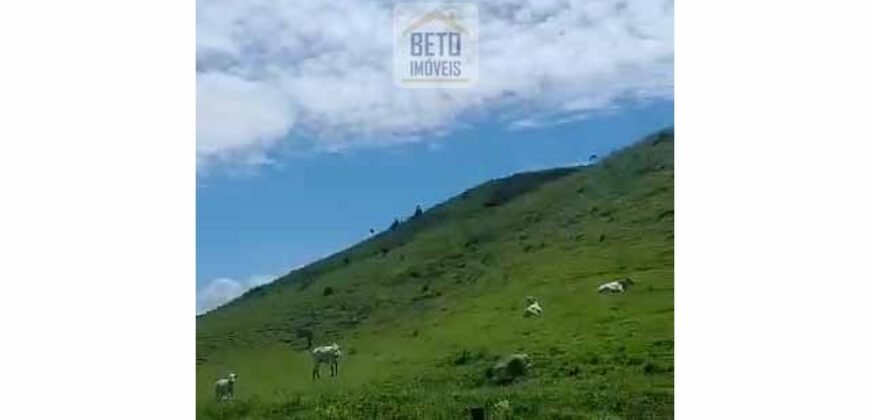 Fazenda 38 alqueires ou 184 hectares para Pecuária | Rio das Flores/RJ