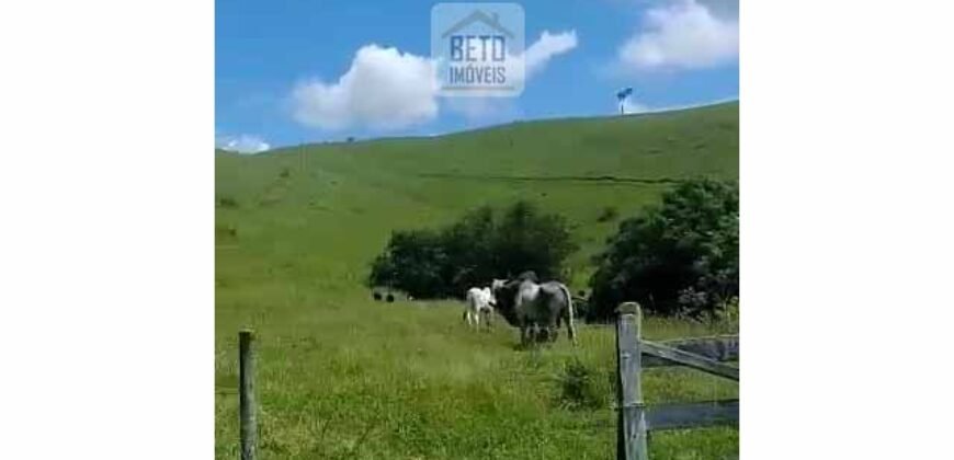 Fazenda 38 alqueires ou 184 hectares para Pecuária | Rio das Flores/RJ