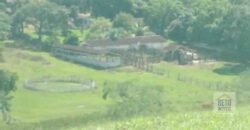 Fazenda 38 alqueires ou 184 hectares para Pecuária | Rio das Flores/RJ