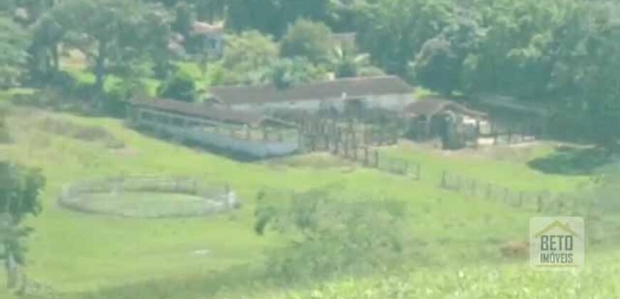 Fazenda 38 alqueires ou 184 hectares para Pecuária | Rio das Flores/RJ