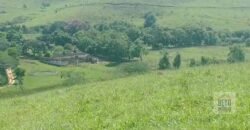 Fazenda 38 alqueires ou 184 hectares para Pecuária | Rio das Flores/RJ