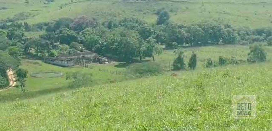 Fazenda 38 alqueires ou 184 hectares para Pecuária | Rio das Flores/RJ