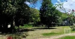 Fazenda 38 alqueires ou 184 hectares para Pecuária | Rio das Flores/RJ