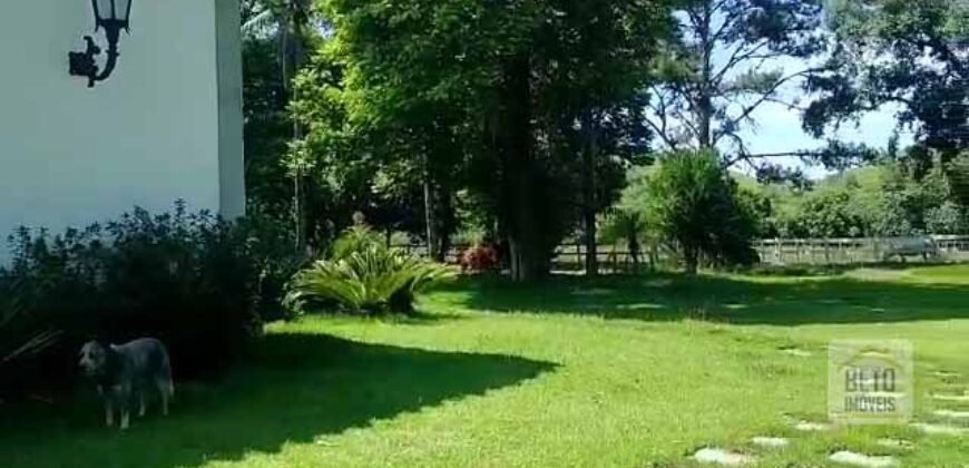 Fazenda 38 alqueires ou 184 hectares para Pecuária | Rio das Flores/RJ
