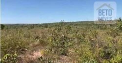 Fazenda c/ vocação Agricultura e Pecuária 401 mil hectares | Palmas – TO Fazenda c/ vocação Agricultura e Pecuária 401 mil hectares | Palmas – TO