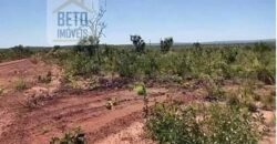 Fazenda c/ vocação Agricultura e Pecuária 401 mil hectares | Palmas – TO Fazenda c/ vocação Agricultura e Pecuária 401 mil hectares | Palmas – TO