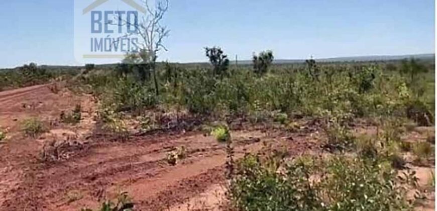 Fazenda c/ vocação Agricultura e Pecuária 401 mil hectares | Palmas – TO Fazenda c/ vocação Agricultura e Pecuária 401 mil hectares | Palmas – TO