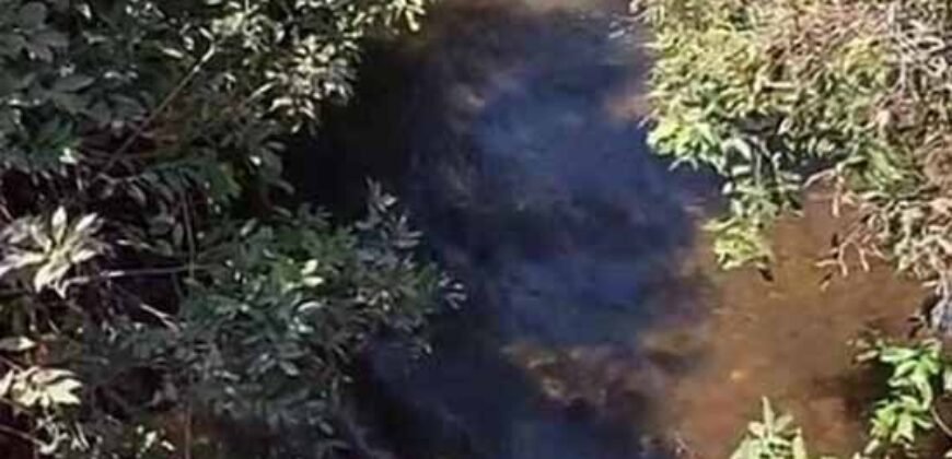 Fazenda c/ vocação Agricultura e Pecuária 401 mil hectares | Palmas – TO Fazenda c/ vocação Agricultura e Pecuária 401 mil hectares | Palmas – TO