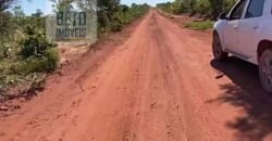 Fazenda c/ vocação Agricultura e Pecuária 401 mil hectares | Palmas – TO Fazenda c/ vocação Agricultura e Pecuária 401 mil hectares | Palmas – TO