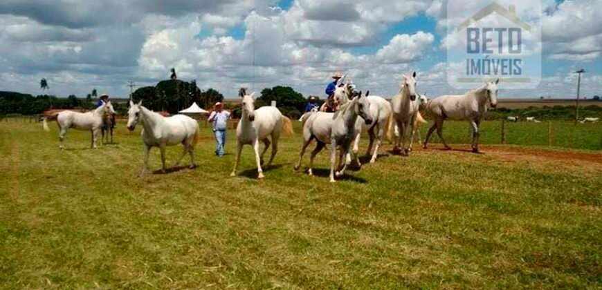 Fazenda Completa 87.851 ha e aproximadamente 50.000 cabeças gado | Corumbá – MS