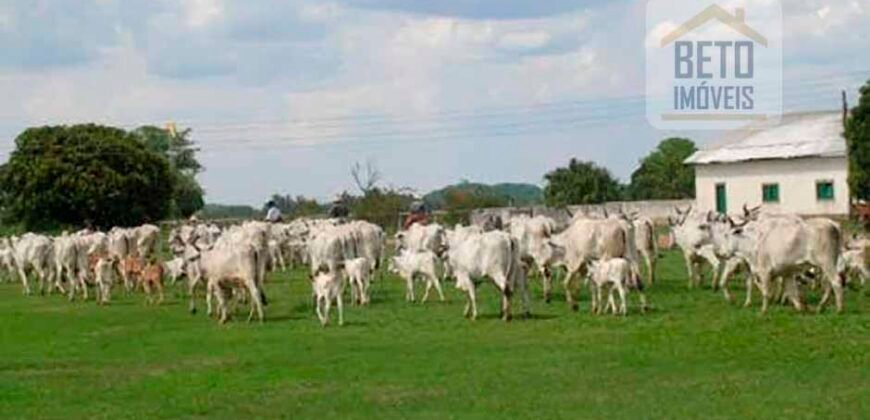 Fazenda Completa 87.851 ha e aproximadamente 50.000 cabeças gado | Corumbá – MS