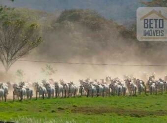 Fazenda Completa 87.851 ha e aproximadamente 50.000 cabeças gado | Corumbá – MS Fazenda Completa 87.851 ha e aproximadamente 50.000 cabeças gado | Corumbá – MS