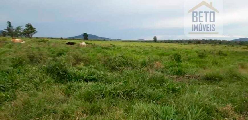 Fazenda Completa 87.851 ha e aproximadamente 50.000 cabeças gado | Corumbá – MS