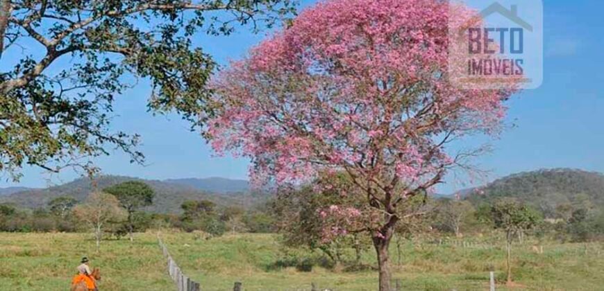 Fazenda Completa 87.851 ha e aproximadamente 50.000 cabeças gado | Corumbá – MS