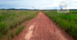 Fazenda Completa 87.851 ha e aproximadamente 50.000 cabeças gado | Corumbá – MS