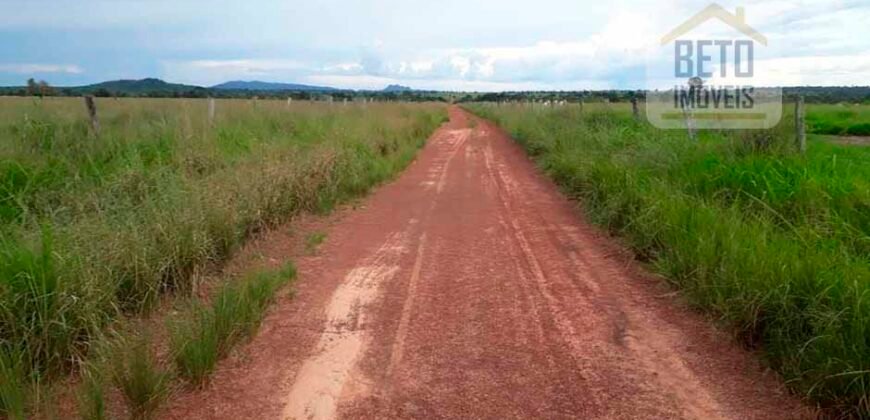 Fazenda Completa 87.851 ha e aproximadamente 50.000 cabeças gado | Corumbá – MS