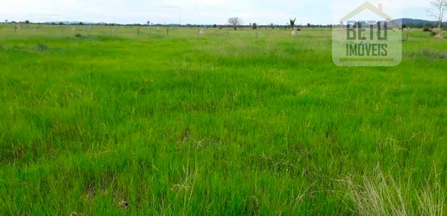 Fazenda Completa 87.851 ha e aproximadamente 50.000 cabeças gado | Corumbá – MS